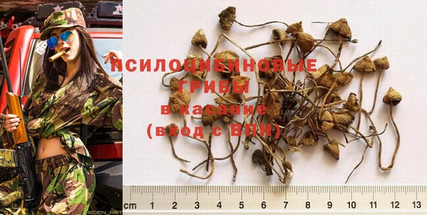 прущий лед Осташков