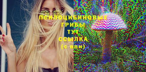 прущий лед Осташков