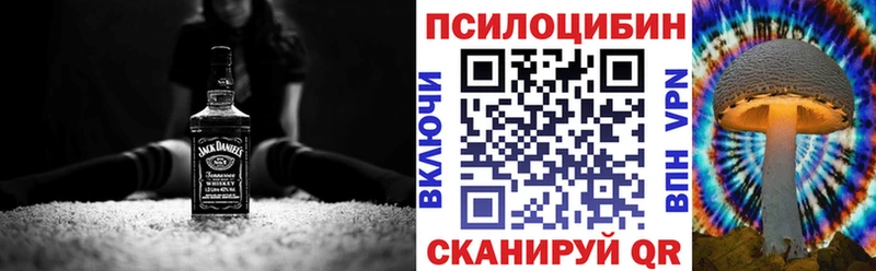 Псилоцибиновые грибы Psilocybine cubensis  Купить где  Камень-на-Оби 